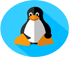 Multiple Linux Distros